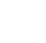 addisfly logo a white